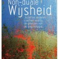 12 non duale wijsheid